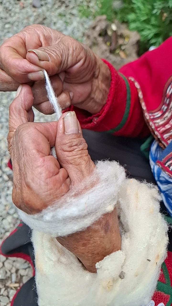 Detalle de las manos preparando una fibra para hilar
