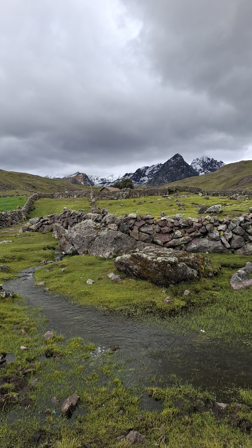 Sendero entre piedras y vegetación en la montaña