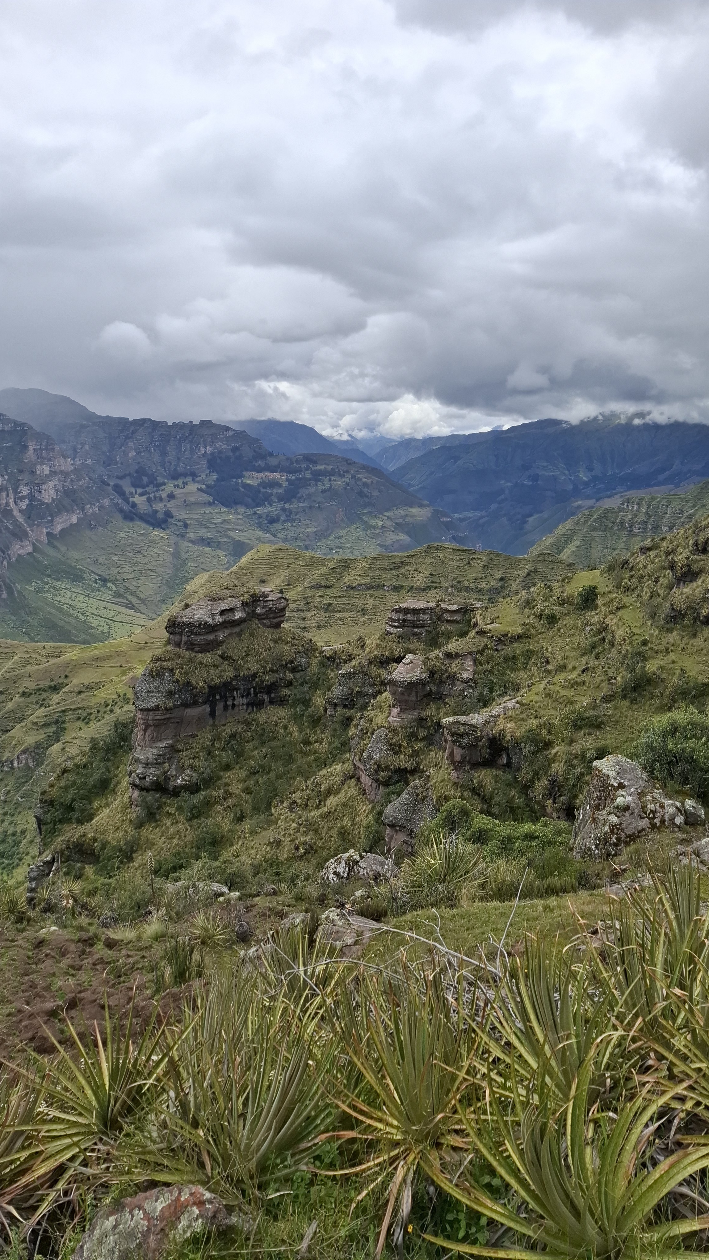 Valle verde bajo un cielo abierto